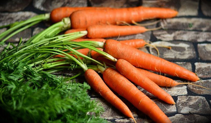 Qual a diferença entre produtos orgânicos e não orgânicos?